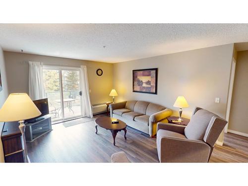 209 - 4769 Forsters Landing Road, Radium Hot Springs, BC - Indoor Photo Showing Living Room