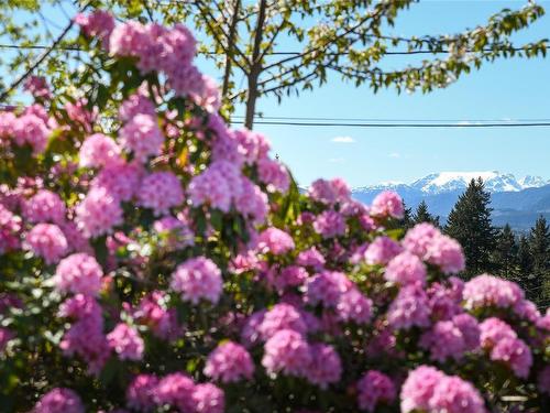 1899 10Th St East, Courtenay, BC - Outdoor With View