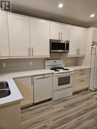 390 Cannon St E, Hamilton, ON - Indoor Photo Showing Kitchen With Double Sink