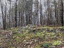 Land/Lot - 123 Ch. Ste-Élisabeth, Cantley, QC 