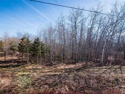 Land/Lot - 