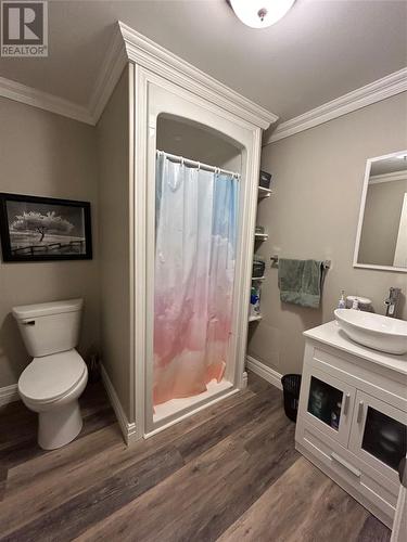 24 Ivimey Place, Conception Bay South, NL - Indoor Photo Showing Bathroom