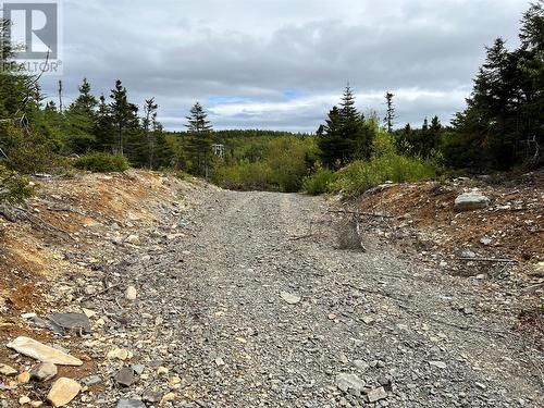 Lot 22 Second Pond, Shearstown, NL 