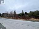 79 - 81 Mint Cove Pond Road N, Spaniard'S Bay, NL 