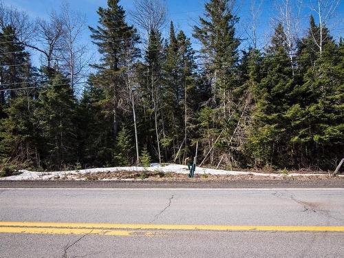 Terre/Terrain - Route Du Petit-Moulin, Saint-Bruno-De-Kamouraska, QC 