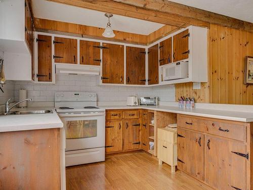 Kitchen - 449 Ch. Birchwood, Saint-Sauveur, QC - Indoor Photo Showing Kitchen With Double Sink