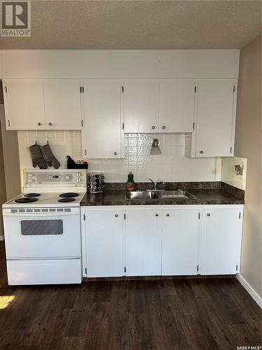 246 5Th Avenue Nw, Swift Current, SK - Indoor Photo Showing Kitchen With Double Sink