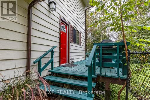 32 Forest Rd, Tiny, ON - Outdoor