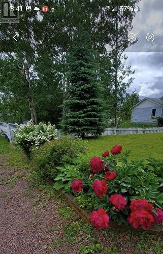 59 Water Street, Embree, NL - Outdoor
