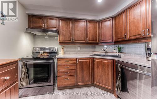 210 - 237 King Street W, Cambridge, ON - Indoor Photo Showing Kitchen With Double Sink