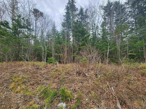 Lot Highway 340, Pleasant Valley, NS 