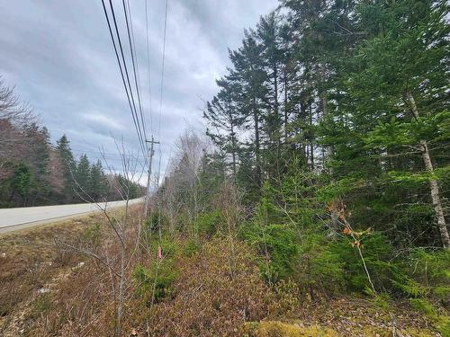 Lot Highway 340, Pleasant Valley, NS 