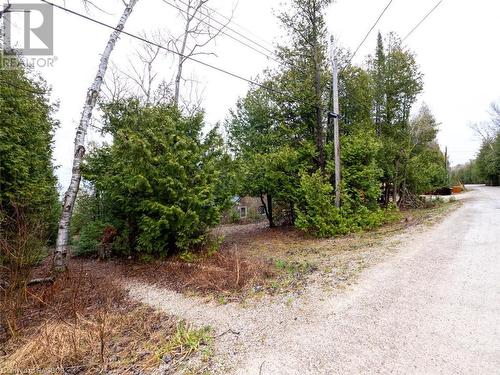 Public water access steps away! - 251 Cape Chin North Shore Road, Northern Bruce Peninsula, ON - Outdoor