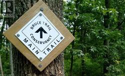 Bruce Trail Access points nearby for hiking. - 