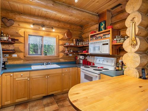 2604 Big Bend Highway, Golden, BC - Indoor Photo Showing Kitchen