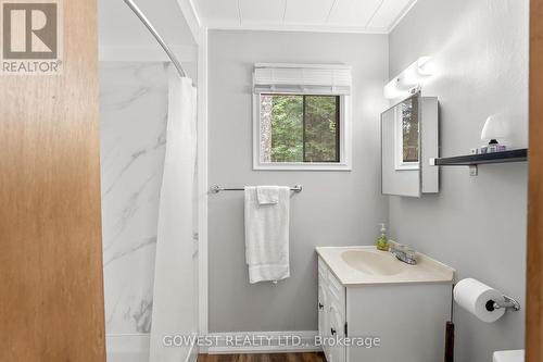 45 Anhinga Lane, North Kawartha, ON - Indoor Photo Showing Bathroom