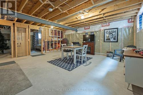 73 Renaissance Drive, St. Thomas, ON - Indoor Photo Showing Basement