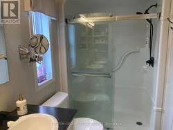 Ensuite shower - 