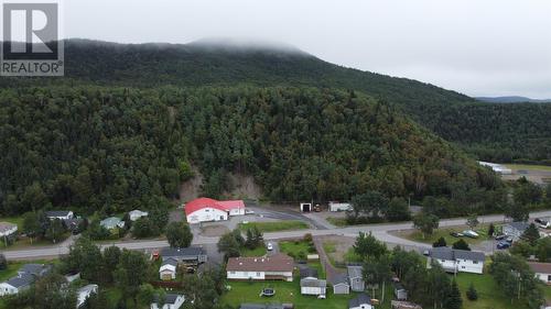 46 Roberts Arm Road, South Brook, NL - Outdoor With View