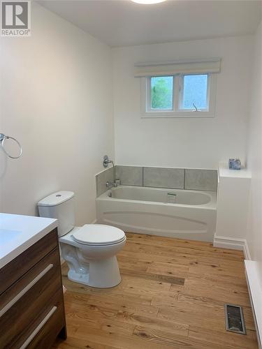 46 Roberts Arm Road, South Brook, NL - Indoor Photo Showing Bathroom