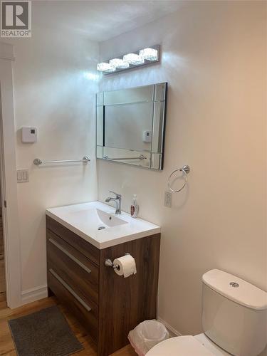 46 Roberts Arm Road, South Brook, NL - Indoor Photo Showing Bathroom