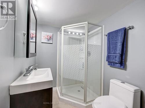 83 Sorrento St, Kitchener, ON - Indoor Photo Showing Bathroom