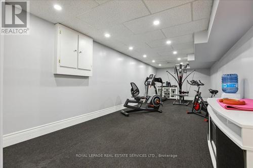 22 Daffodil Cres, Hamilton, ON - Indoor Photo Showing Gym Room