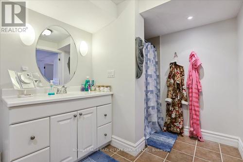 22 Daffodil Cres, Hamilton, ON - Indoor Photo Showing Bathroom