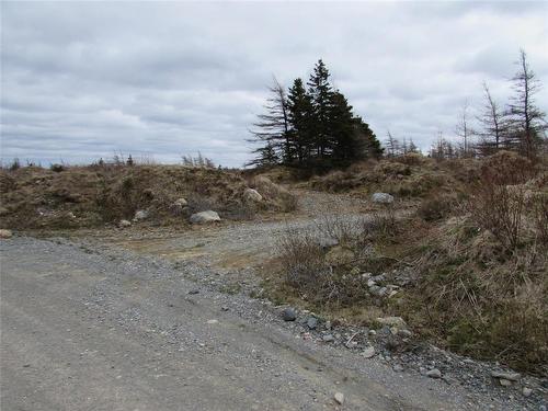 45 New Line Road, Colliers, NL 