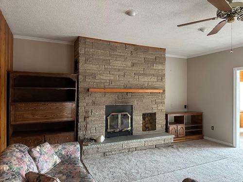 9 Grannies Road, Gorham Township, ON - Indoor Photo Showing Living Room With Fireplace