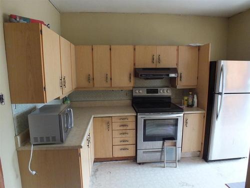 130 Amelia Street E, Thunder Bay, ON - Indoor Photo Showing Kitchen