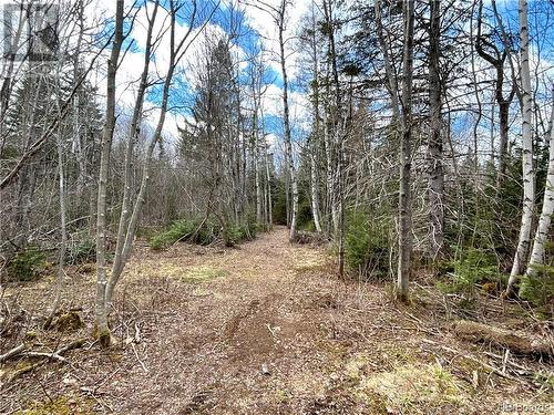 77 Rue Carleton, Rogersville, NB - Outdoor With View