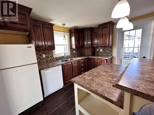 35 Barrisway Road, Garnish, NL - Indoor Photo Showing Kitchen With Double Sink