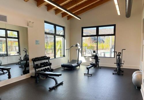 The Shed Gym - 212 Courtland Street, Blue Mountain, ON - Indoor Photo Showing Gym Room