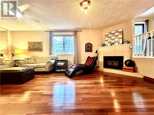 1372 Paquette Street, Greater Sudbury, ON - Indoor Photo Showing Living Room With Fireplace