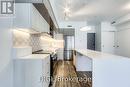 Th-101 - 50 High Park Avenue, Toronto, ON  - Indoor Photo Showing Kitchen With Upgraded Kitchen 