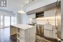 Th-101 - 50 High Park Avenue, Toronto, ON  - Indoor Photo Showing Kitchen With Upgraded Kitchen 
