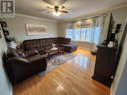 12 Riverview Drive, Happy Valley Goose Bay, NL - Indoor Photo Showing Living Room