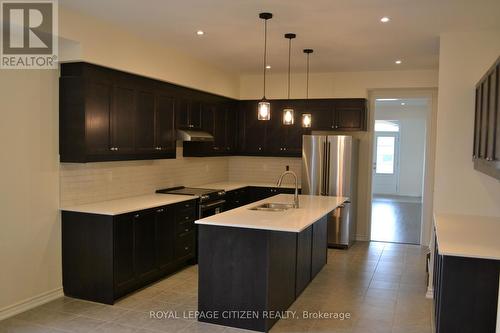 160 Hawkins St, Georgina, ON - Indoor Photo Showing Kitchen With Double Sink With Upgraded Kitchen
