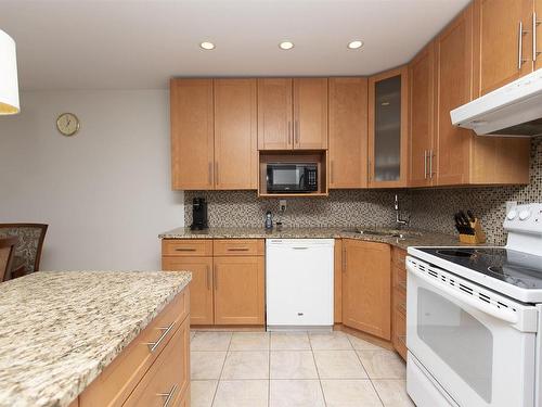 103 375 Adelaide Street, Thunder Bay, ON - Indoor Photo Showing Kitchen