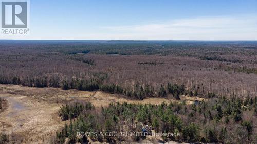 2261 County Road 504, North Kawartha, ON - Outdoor With View