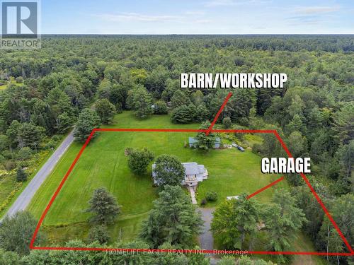1394 Reay Road E, Gravenhurst, ON - Outdoor With View