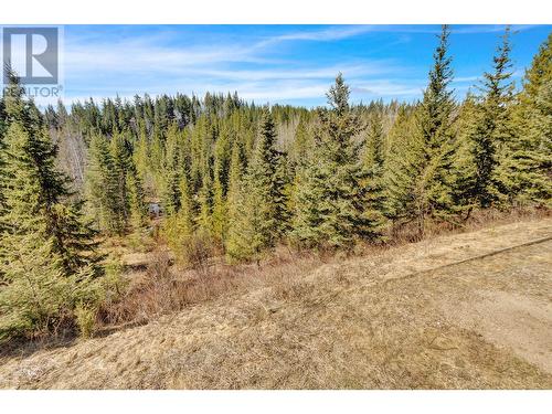 13435 Marvin Road, Prince George, BC - Outdoor With View