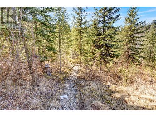13435 Marvin Road, Prince George, BC - Outdoor With View
