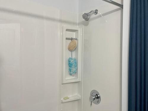 81 Holmes Road, Christina Lake, BC - Indoor Photo Showing Bathroom