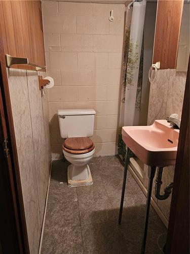 171 King Lane, Simcoe, ON - Indoor Photo Showing Bathroom