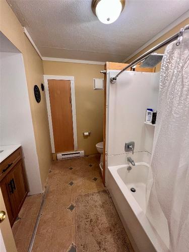 206 Coalmont Road, Princeton, BC - Indoor Photo Showing Bathroom