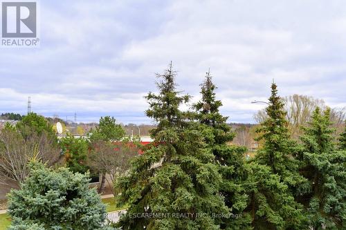 308 - 990 Golf Links Road, Hamilton, ON - Outdoor With View