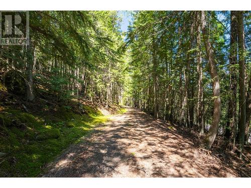 2197 3 Highway, Creston, BC - Outdoor With View