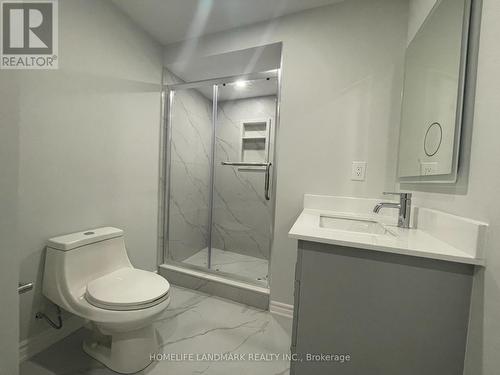 Bsmt - 804 Hollander Road, Newmarket, ON - Indoor Photo Showing Bathroom